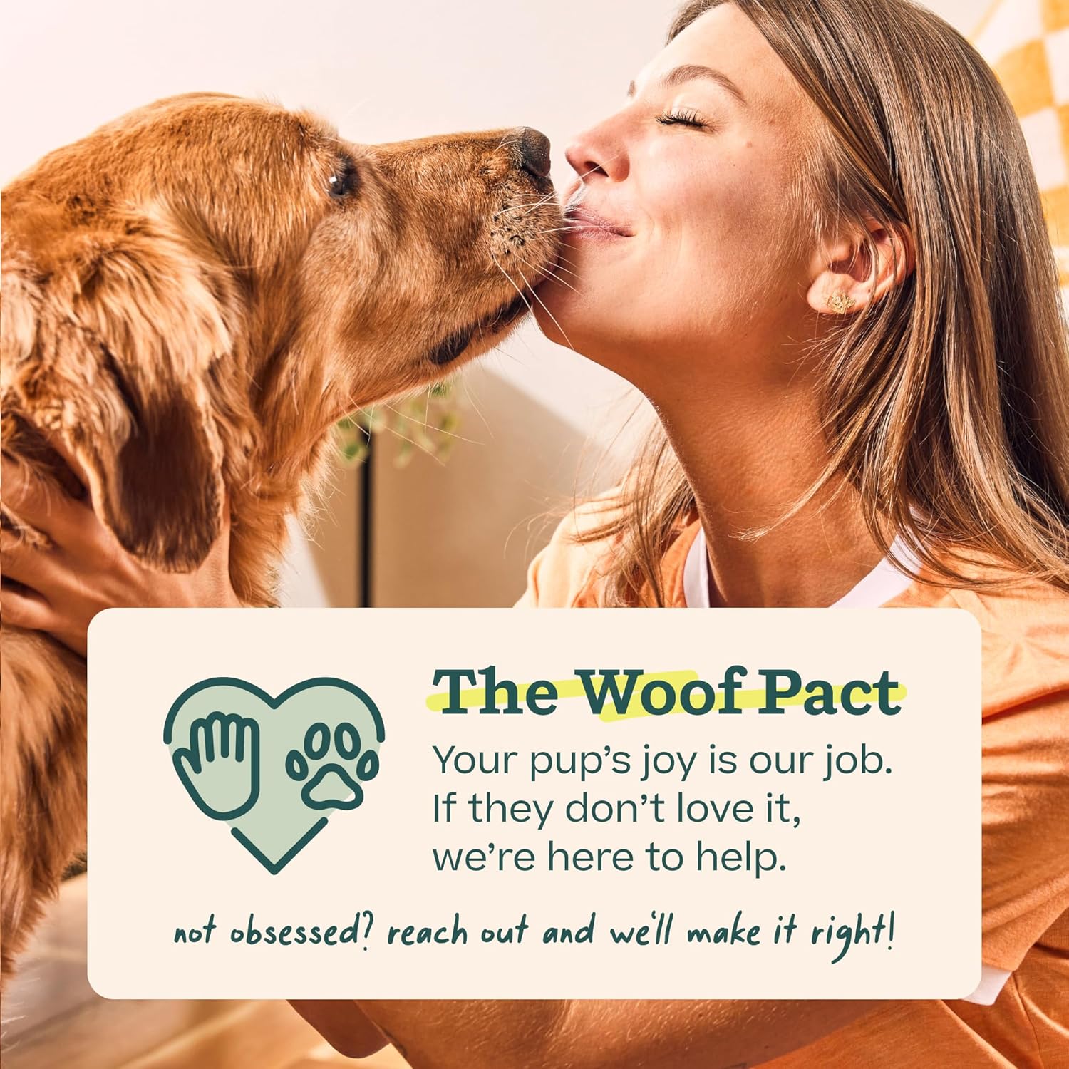 Barktopia™ Pupsicle